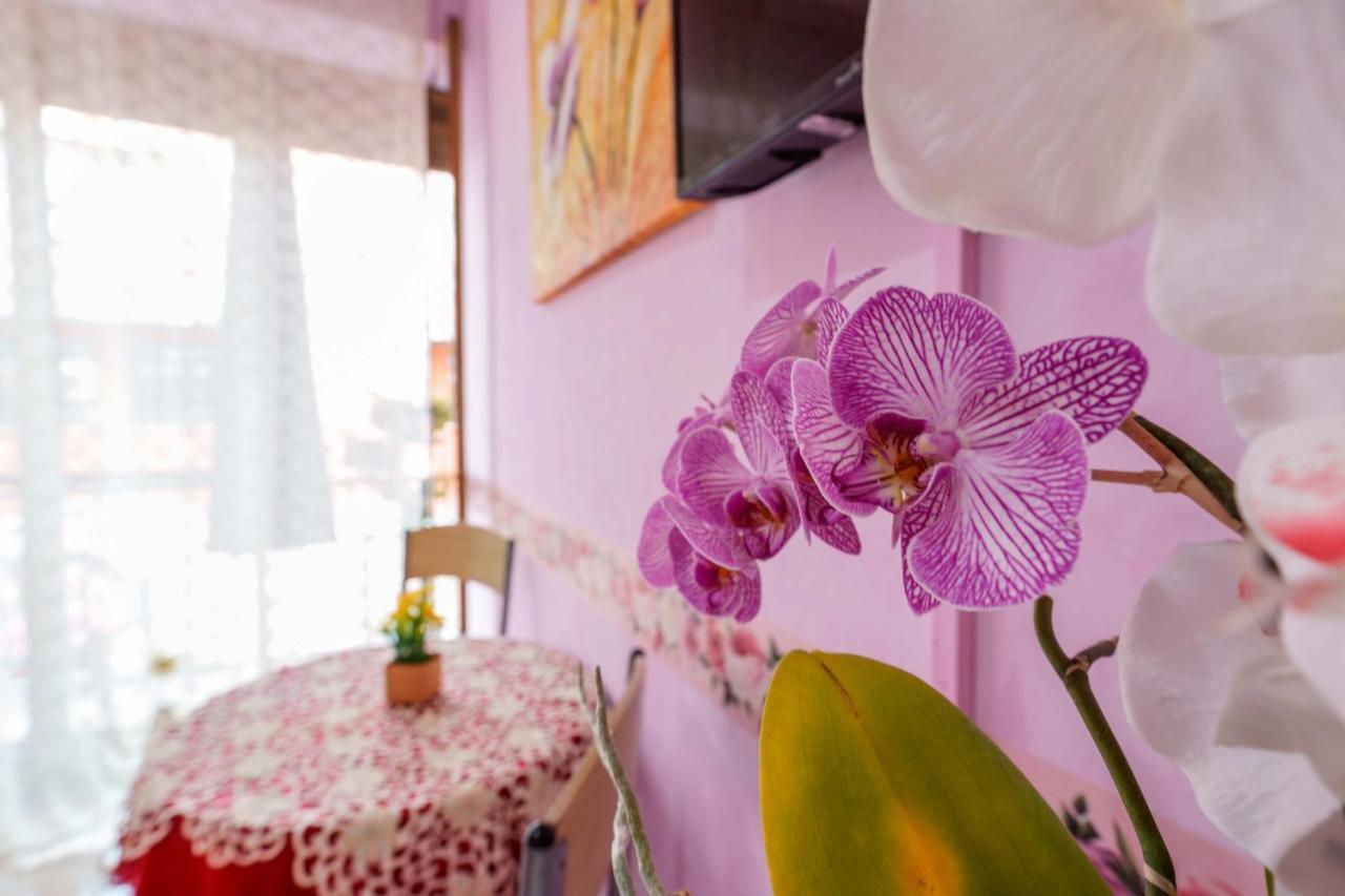 Bed And Breakfast Dolce Vita Bolonya Dış mekan fotoğraf